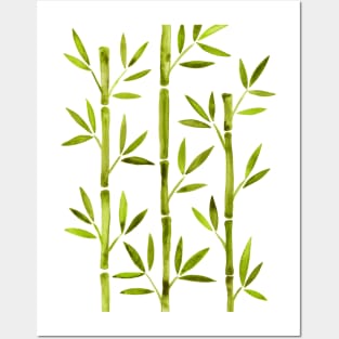 Green Bamboo Posters and Art